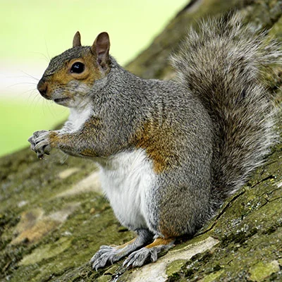 家庭网络自由之路：手把手教你将Clash代理部署到路由器