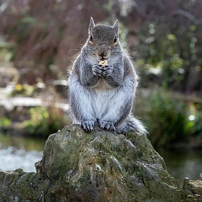 Clash节点在线 | 3月14日21.2M/S|免费V2ray节点/Trojan节点/Clash节点/Singbox节点/Shadowrocket节点/SSR节点节点推荐，安卓机场梯子购买推荐